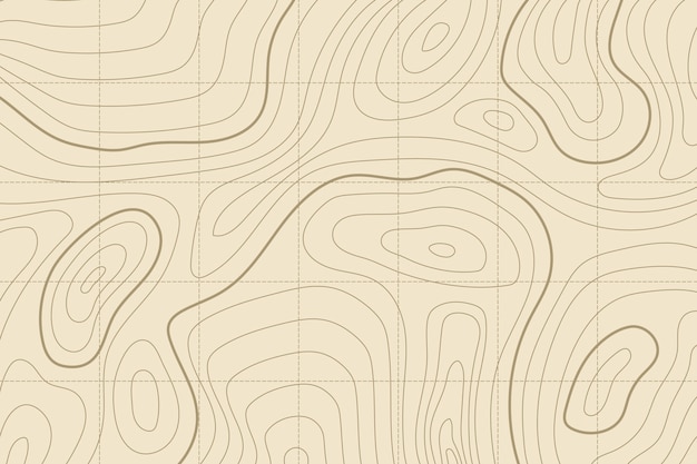 Topographic map background