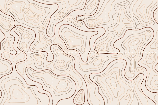 Topographic map background