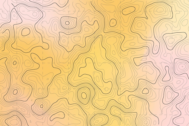 Topographic map concept