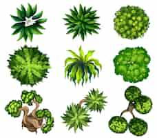 Free vector topview of the different plants