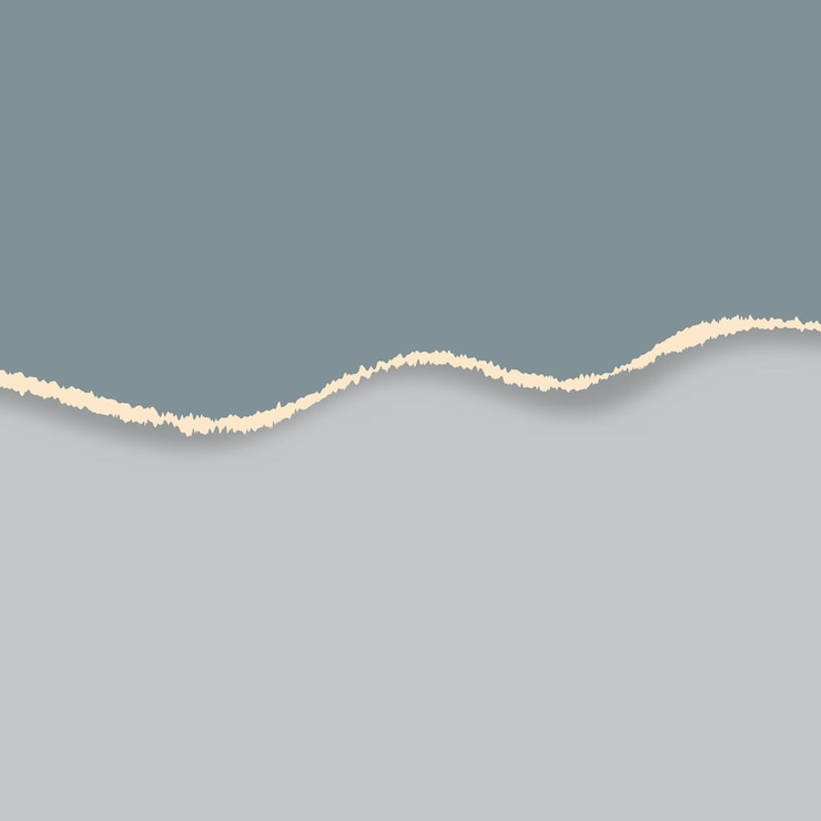 Free Vector torn paper background