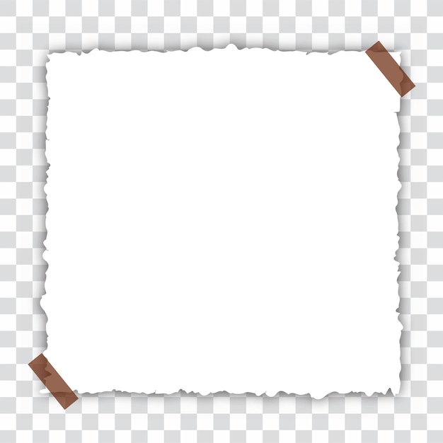 Realistic empty paper photo frame Royalty Free Vector Image