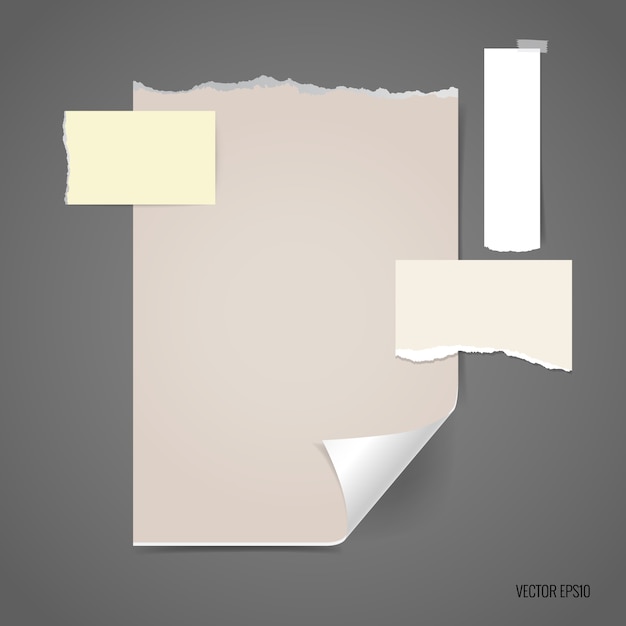 Free vector torn paper with different sizes