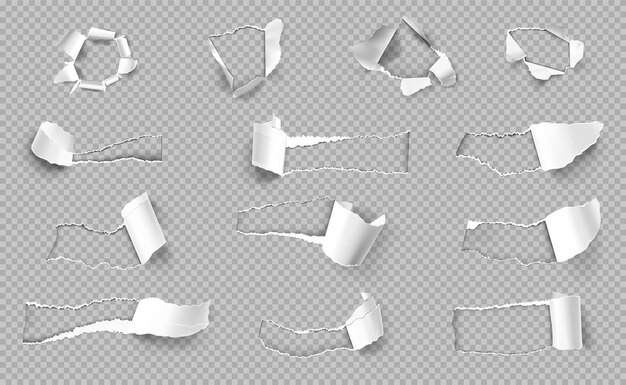 異なる形状の現実的な透明なセットの分離されたエッジを持つ破れた紙