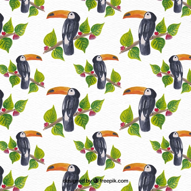 Free vector toucan background with watercolor leaves