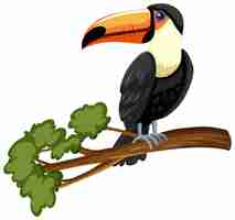 Free vector toucan bird on a branch isolated on white