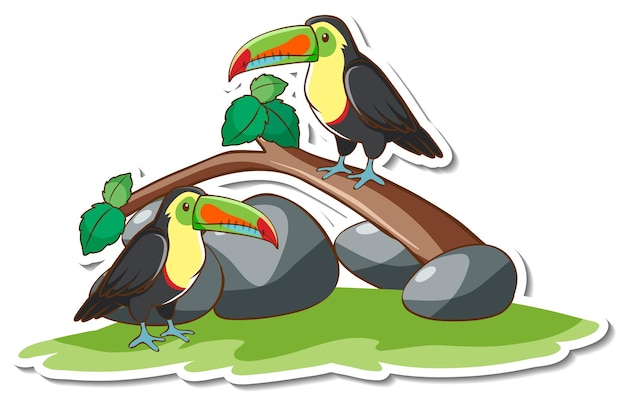 Free vector toucan bird standing on a branch sticker