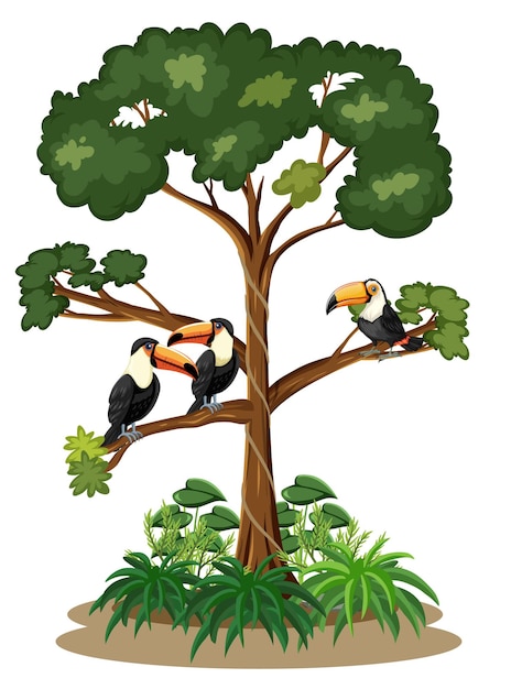 Free vector toucan birds standing on tree