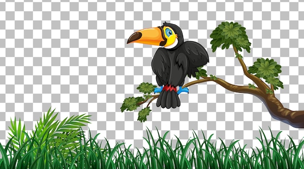 Free vector toucan on the grass field on transparent background