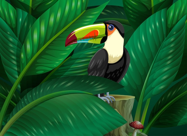 Бесплатное векторное изображение Тукан спрятан на фоне тропических листьев