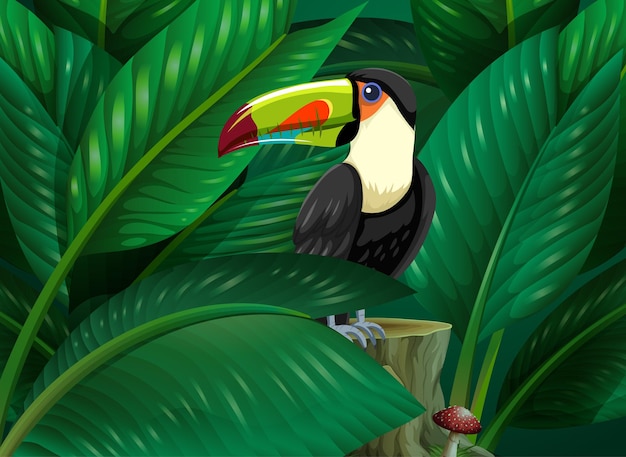 Toucan hidden in the tropical leaves background