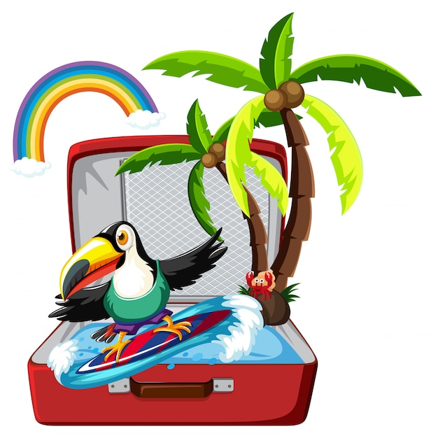 Toucan surfing in suitcase