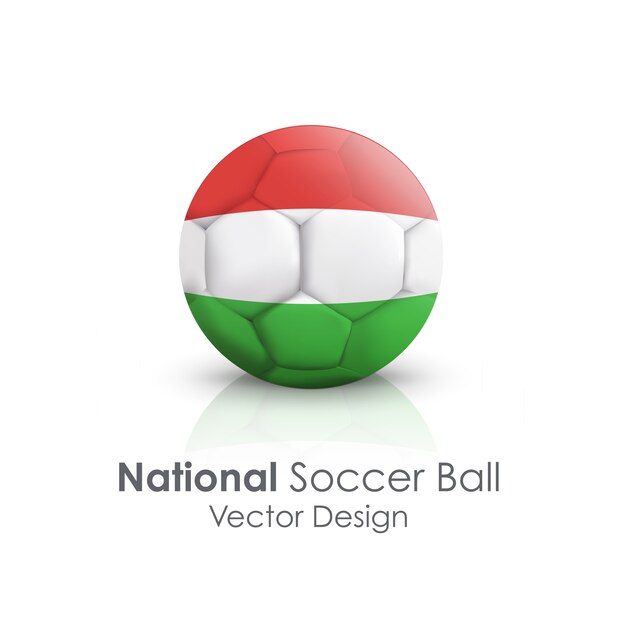 伝統的な国シンボルクリッピングサッカーボール