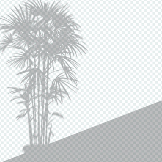 Free vector transparent plant shadow overlay effect