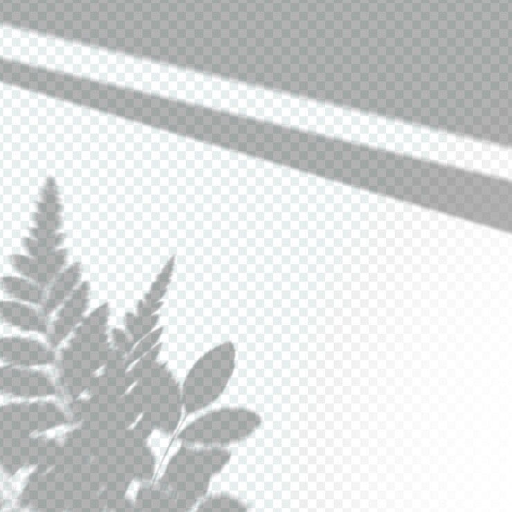 無料Vector 透明な植物の影のオーバーレイ効果