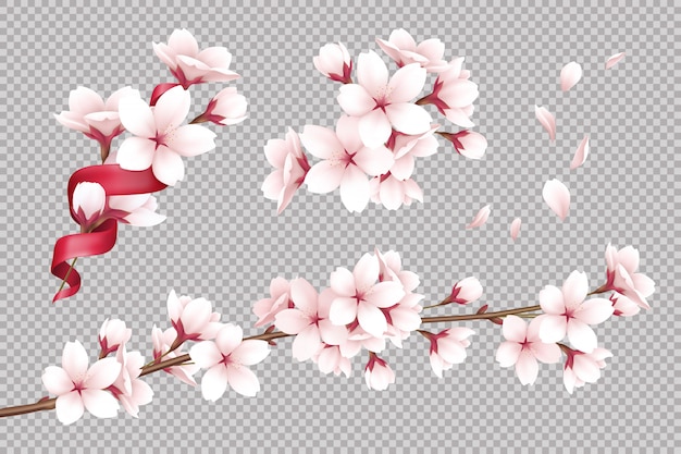 Иллюстрация прозрачные реалистичные цветущие вишневые цветы и лепестки