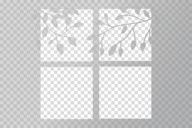 Transparent shadow overlay effects with tree branches