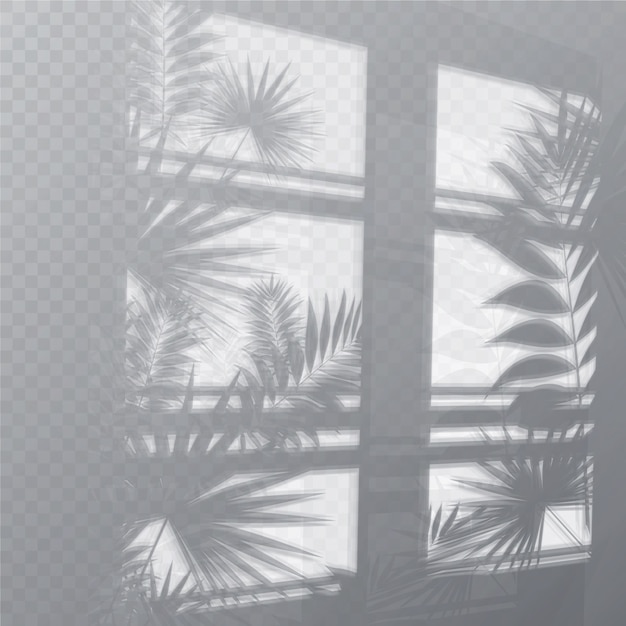 무료 벡터 식물과 창으로 투명한 그림자 오버레이 효과