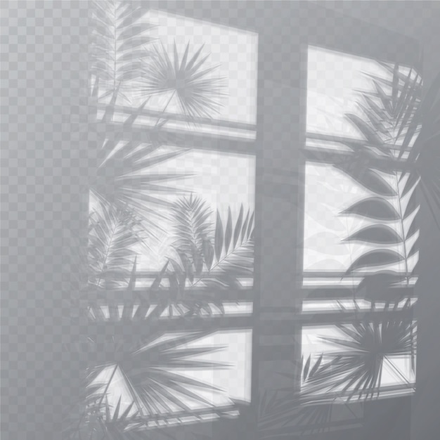 Transparent shadows overlay effect with plants and window