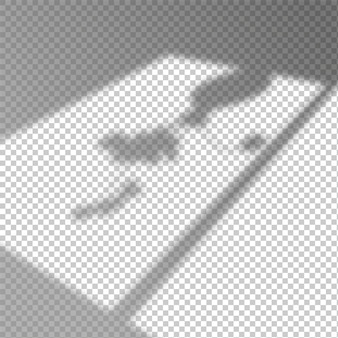 Download Lights border overlay background | Free Vector