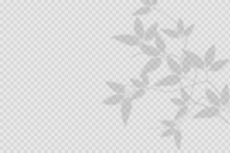 Free Vector transparent shadows overlay effect