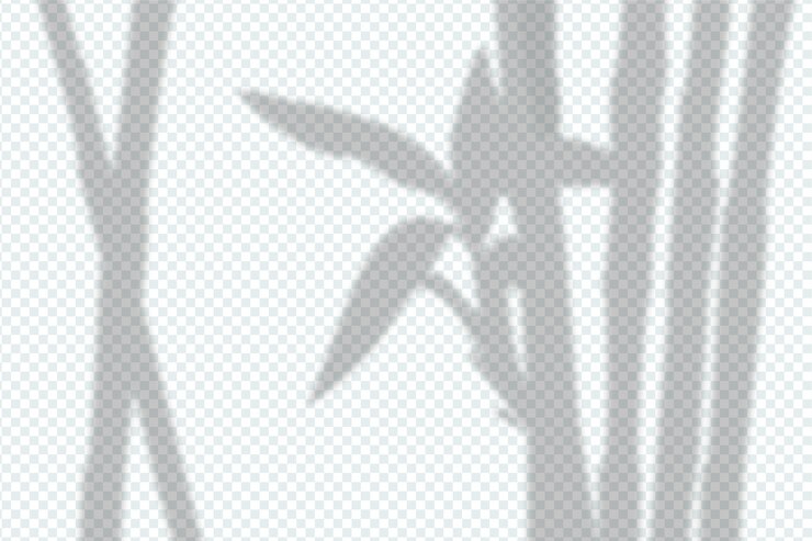 Free Vector transparent shadows overlay effect
