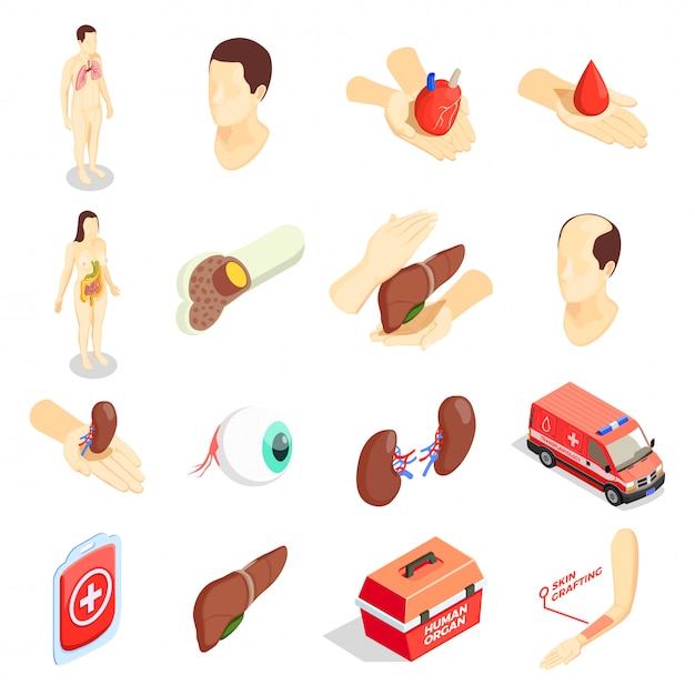 Transplantation isometric icons set