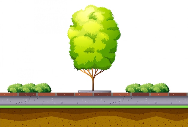 Бесплатное векторное изображение Дерево и куст на улице