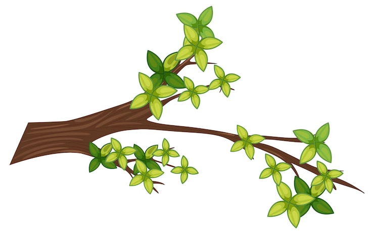 Free Vector tree branch isolated on white background