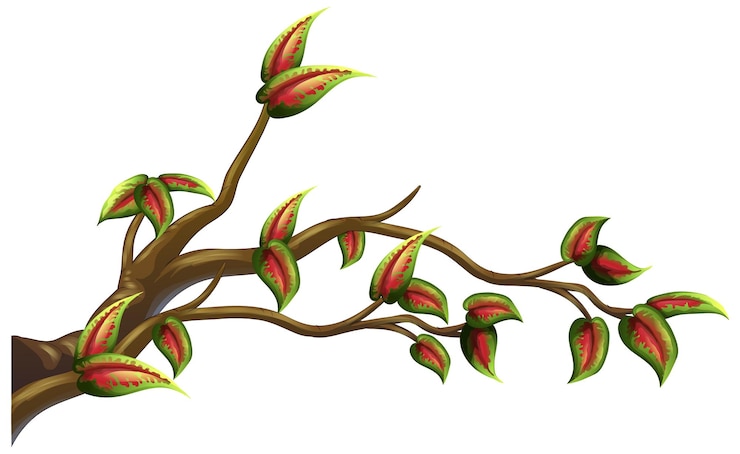 Free Vector tree branch isolated on white background