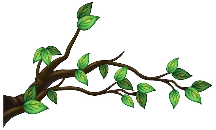 Free Vector tree branch isolated on white background