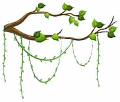 Free vector tree branch with liana isolated