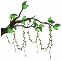 Free vector tree branch with liana isolated