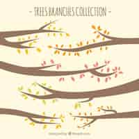 Free vector tree branches collection