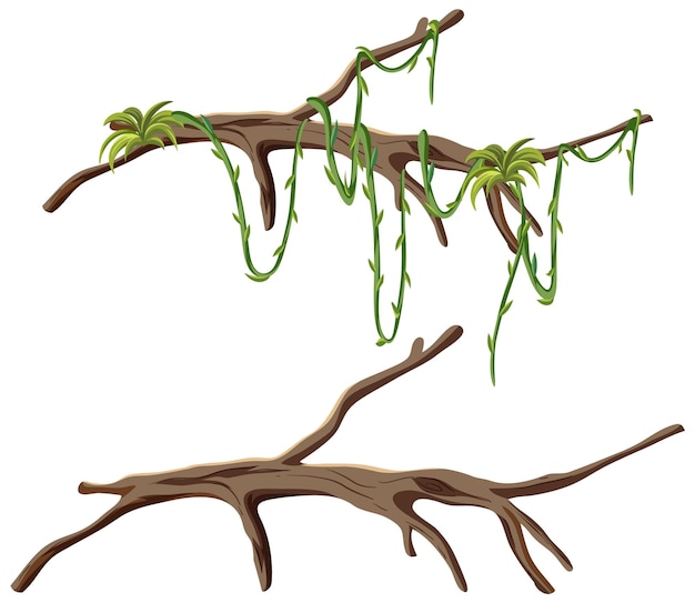 Free vector tree branches with liana isolated