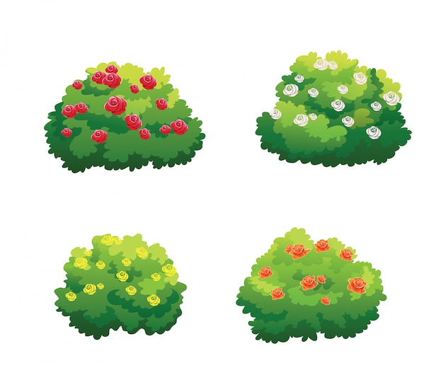Bush Images | Free Vectors, Stock Photos & PSD