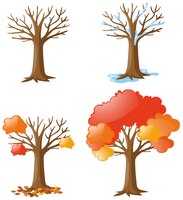 Free vector tree in different seasons