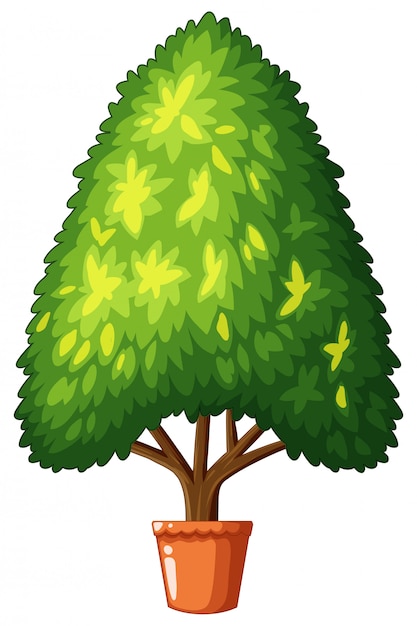 Free vector tree growing in the pot