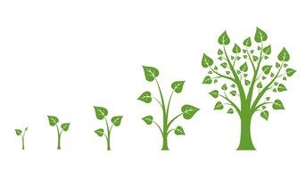 Tree growth vector diagram. green tree growth, nature leaf growth, plant growh illustration