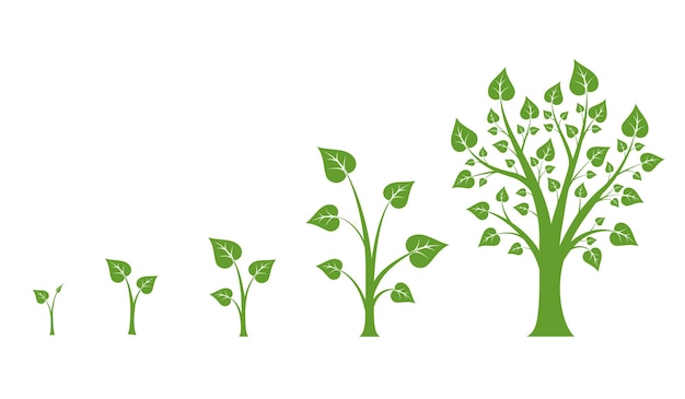 木の成長ベクトル図。緑の木の成長、自然の葉の成長、植物の成長の図