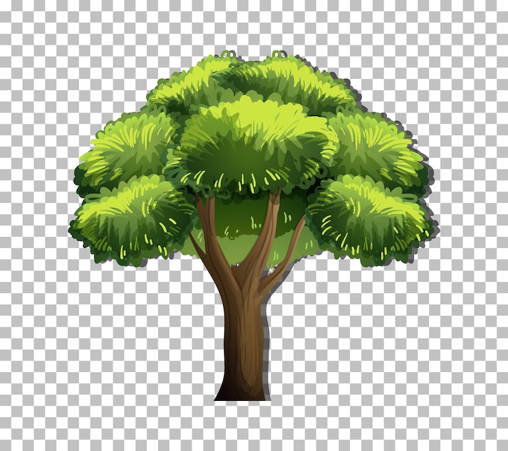 Free Vector a tree isolated on transparent background