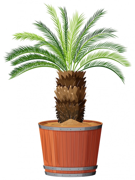 Free vector tree in large pot