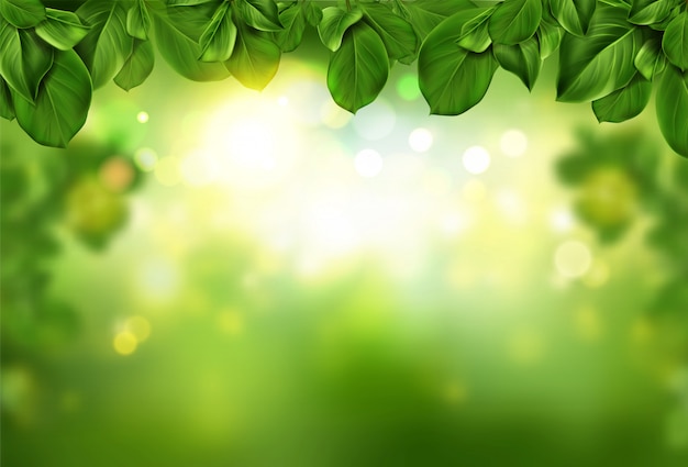 Tree leaves border on green abstract bokeh illuminated with sunlight shining and soft light sparkles.