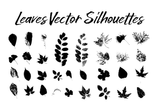 Free vector tree leaves silhouettes. plants and nature