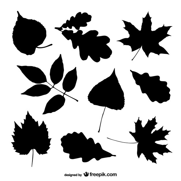 Tree leaves silhouettes set