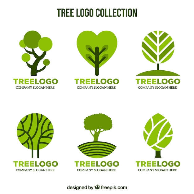 Tree logos collection in flat style