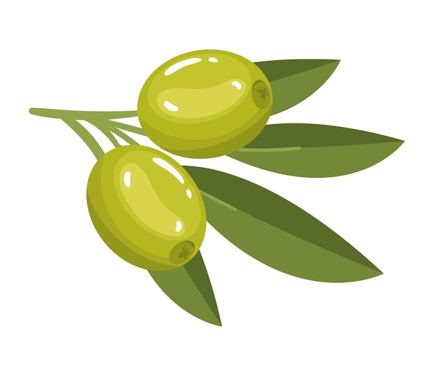 Free vector tree olive and foliage