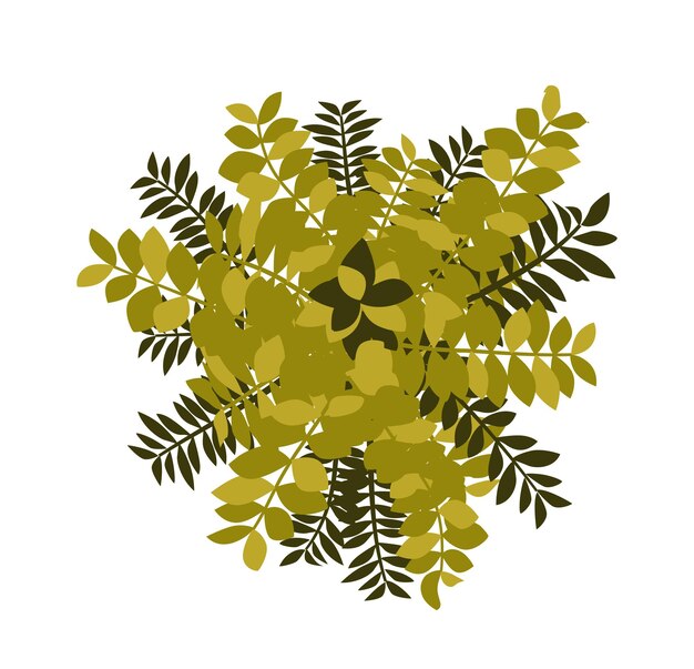 Premium Vector Tree top  view easy to use in your 