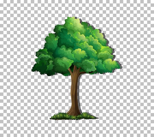 Free vector tree on transparent background