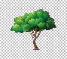 Free vector tree on transparent background